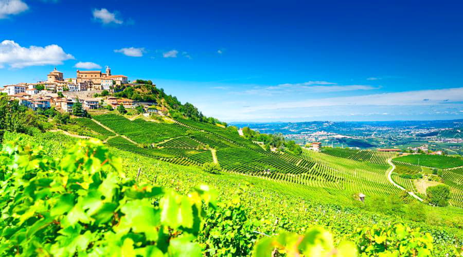 Our car rental services offer a diverse selection of vehicles at in Barbaresco.